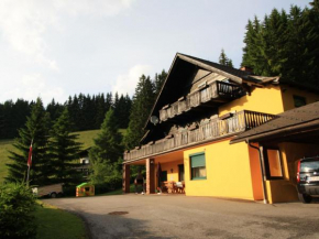 Comfortable Mansion in Wolfsberg near Ski Area